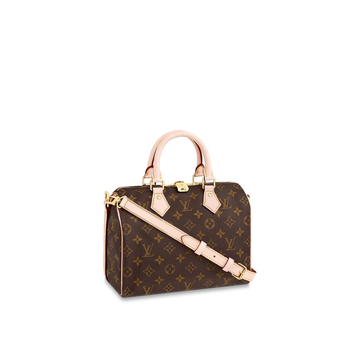 Louis Vuitton Speedy 25 Louis Vuitton Speedy 25