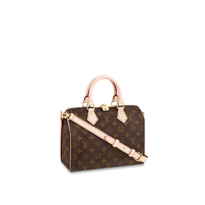 Louis Vuitton Speedy 25