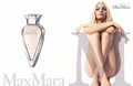Le Parfum MaxMara