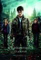     :  2 / Harry Potter and the Deathly Hallows: Part 2