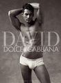 David by Dolce & Gabbana