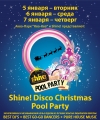 Disco Christmas Pool Party   - 