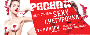  Sexy   Pacha Moscow 