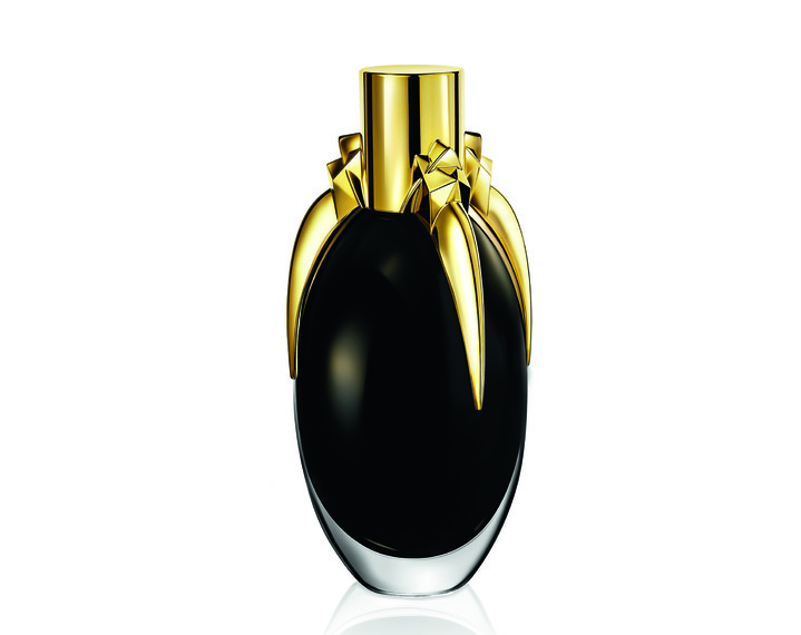 Lady Gaga Fame