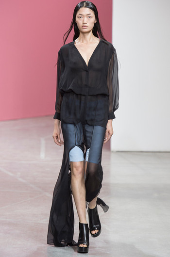 Theyskens' Theory - 2014