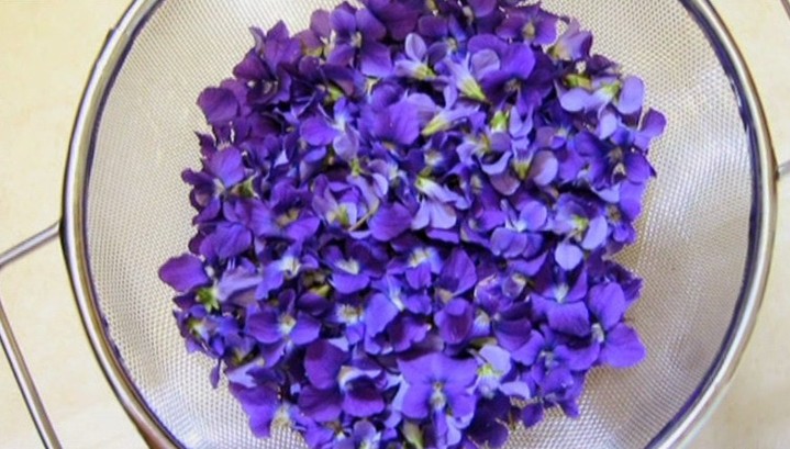 La Violeta, Plaza de Canalejas, 6 La Violeta, Plaza de Canalejas, 6