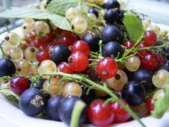 Маски из ягод для лица Маски из ягод для лица