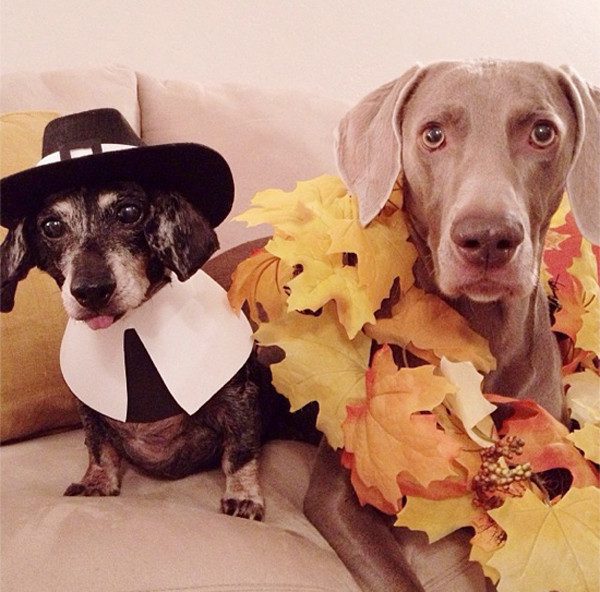 @harlowandsage @harlowandsage