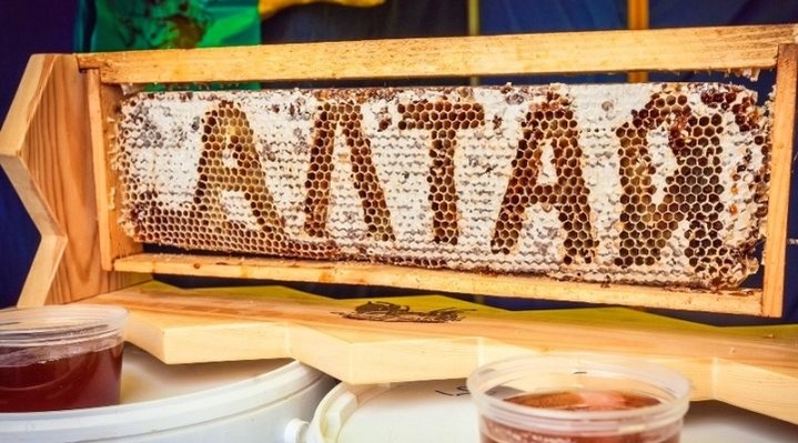 Алтайский мед Алтайский мед