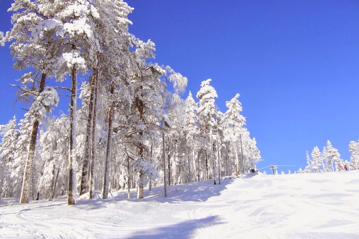 Заповедник Оуланка Заповедник Оуланка
