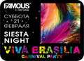 Famous Rio Carnival - Viva Brasilia! 