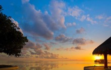«Роскошная весна» от Dusit Hotels & Resorts