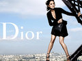        Lady Dior 