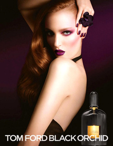      Tom Ford Black Orchid