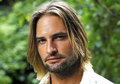 Josh Holloway