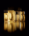 Donna Karan Gold