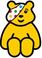  Pudsey