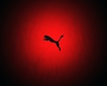 Puma   PPR 