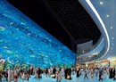 The Dubai Mall