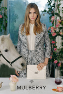  , Mulberry