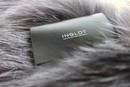   Oil blotting sheets  Inglot