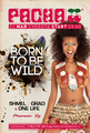  TimBigFamily & Friends: Music Festival & Dance, Diamond Night  Born To Be Wild  Pacha Moscow 