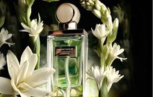 Oriflame представляет коллекцию премиальных ароматов Sublime Nature